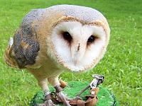 (116 von 243) : KIGA Hausen Waldwoche